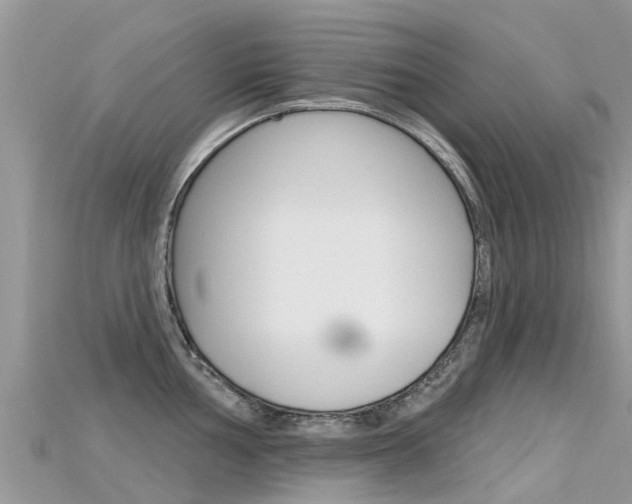 X0000115691002200911121004