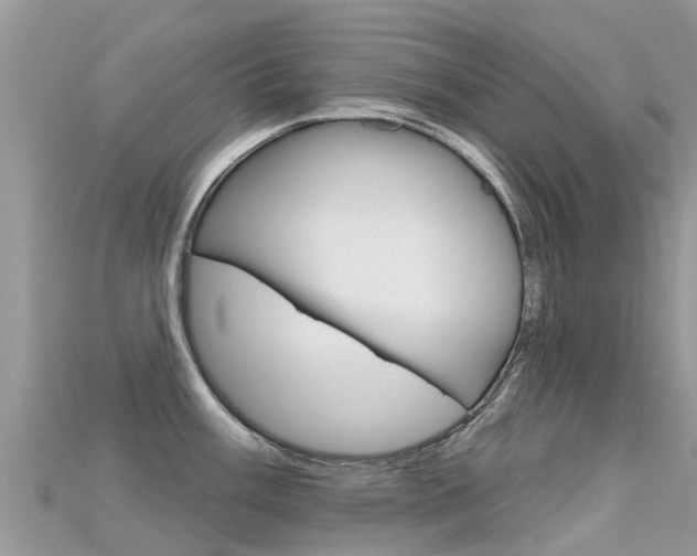 X0000115691003200911121004