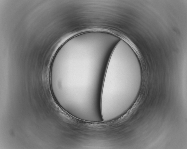 X0000115691004200911121004