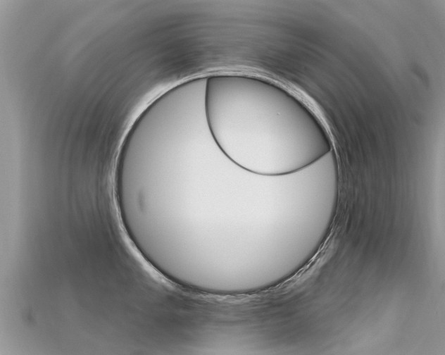 X0000115691005200911121004