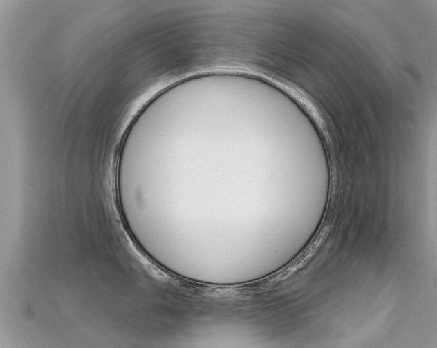 X0000115691006200911121003