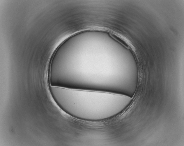 X0000115691007200911121003