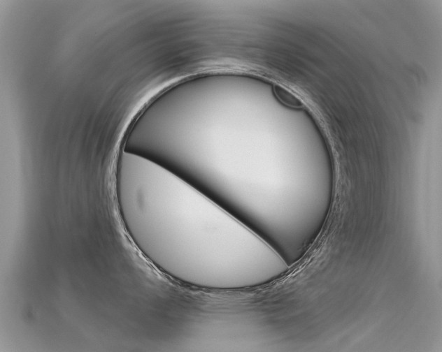 X0000115691008200911121003