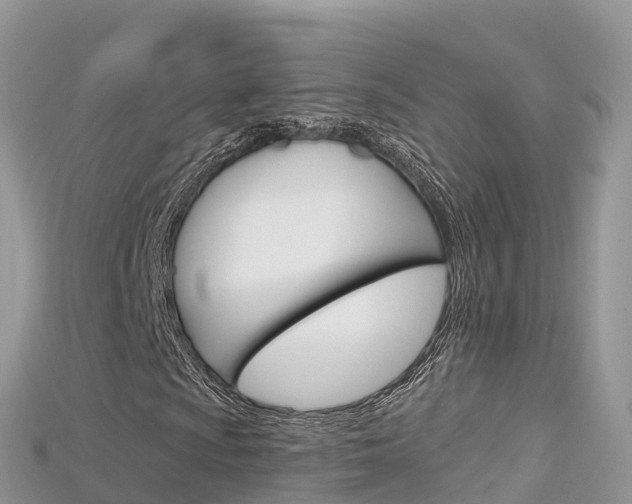 X0000115691009200911121003
