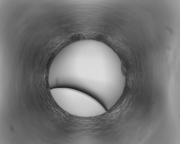X0000115691010200911121003