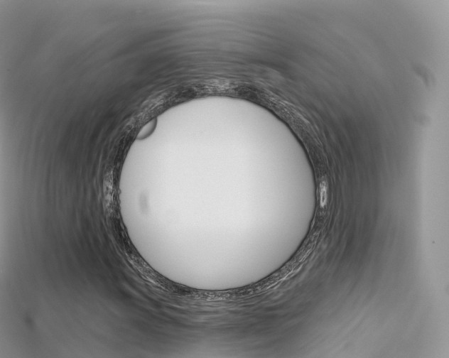 X0000115691011200911121003