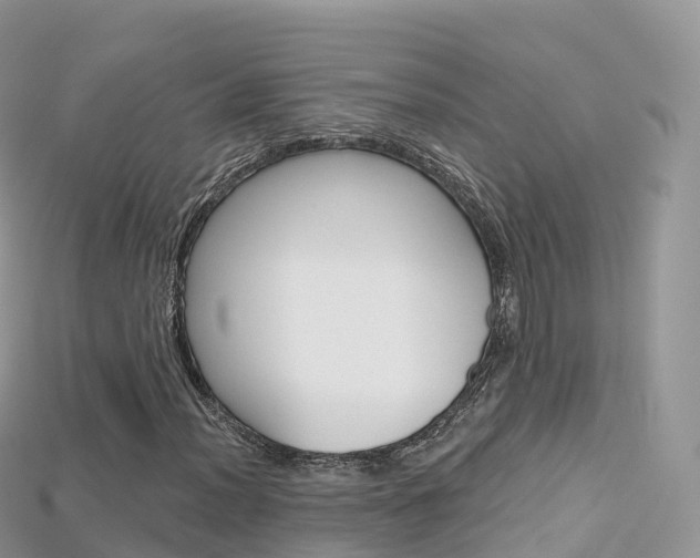 X0000115691012200911121003