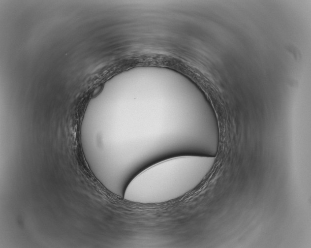 X0000115691013200911121003