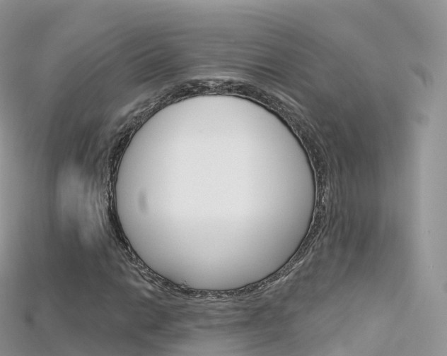 X0000115691014200911121003