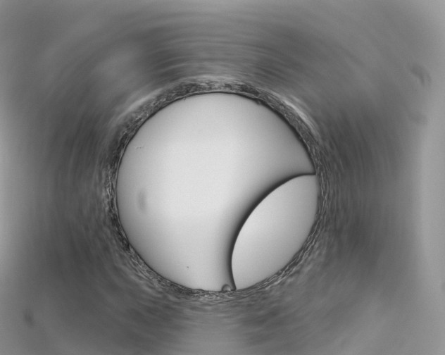 X0000115691015200911121003
