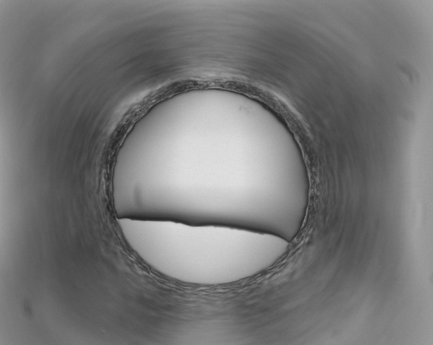 X0000115691016200911121003