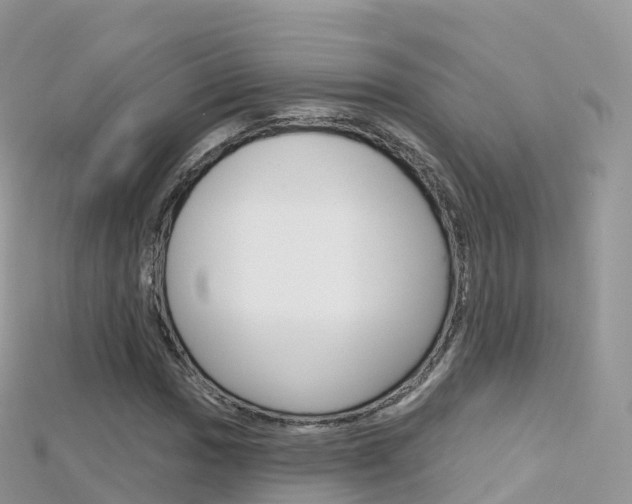 X0000115691017200911121003