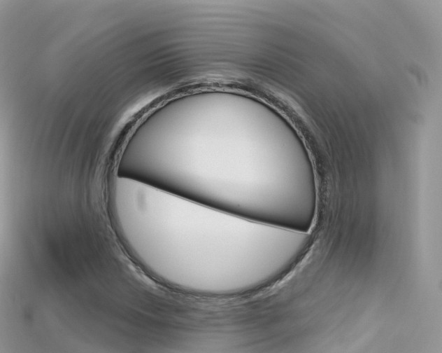 X0000115691018200911121003