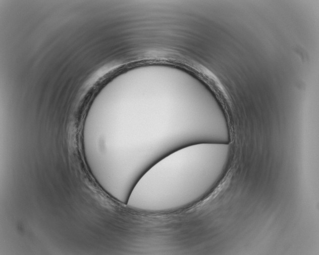 X0000115691019200911121003