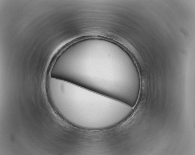 X0000115691020200911121003