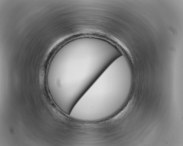 X0000115691021200911121003