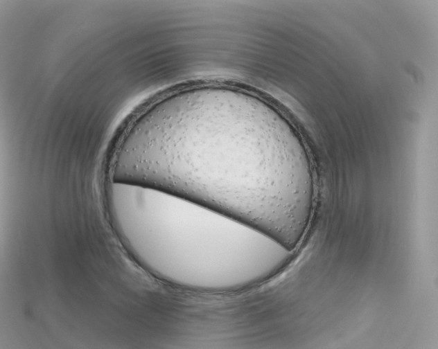 X0000115691022200911121003