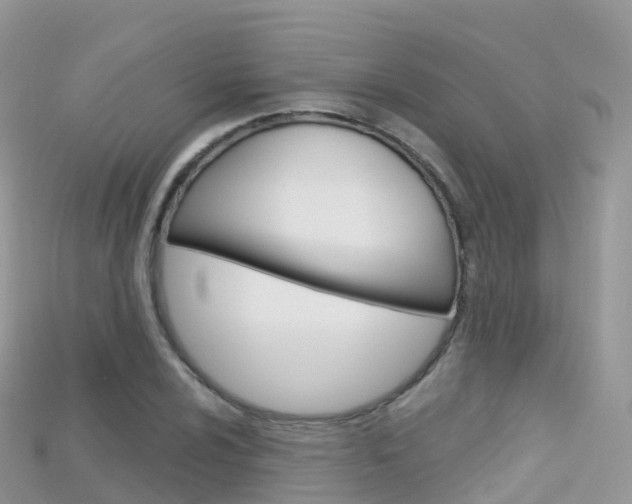 X0000115691024200911121003