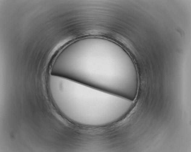 X0000115691026200911121003