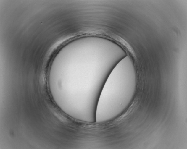 X0000115691027200911121003