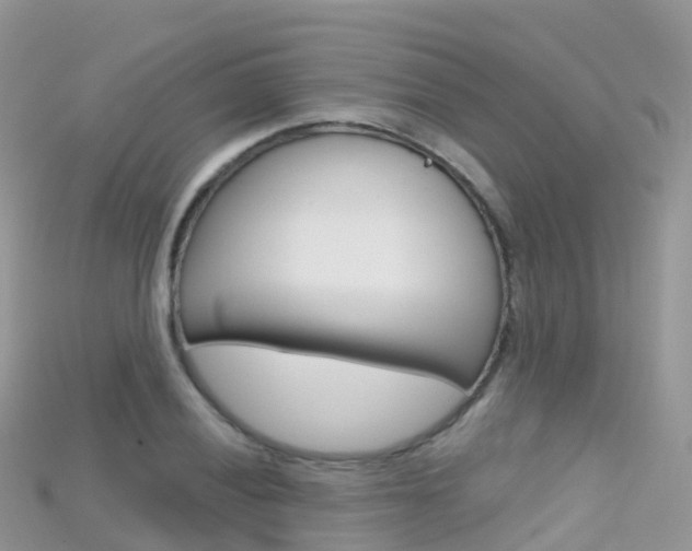 X0000115691028200911121003