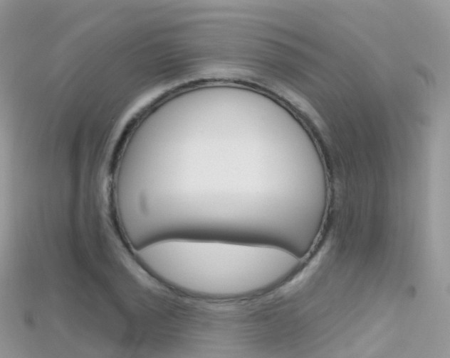 X0000115691029200911121003