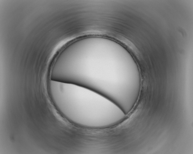 X0000115691030200911121003