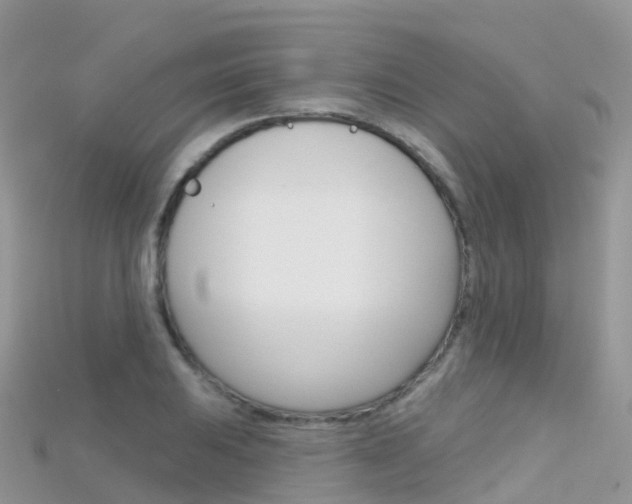 X0000115691031200911121003