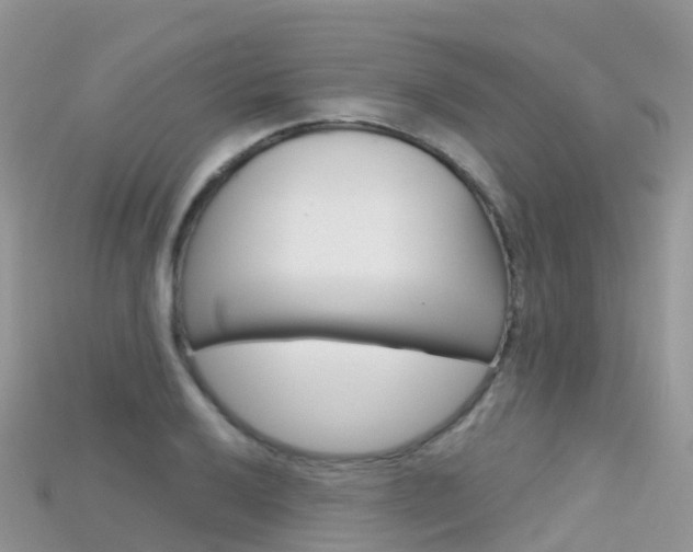 X0000115691032200911121003