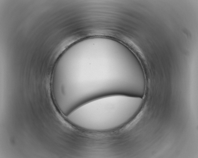 X0000115691033200911121003