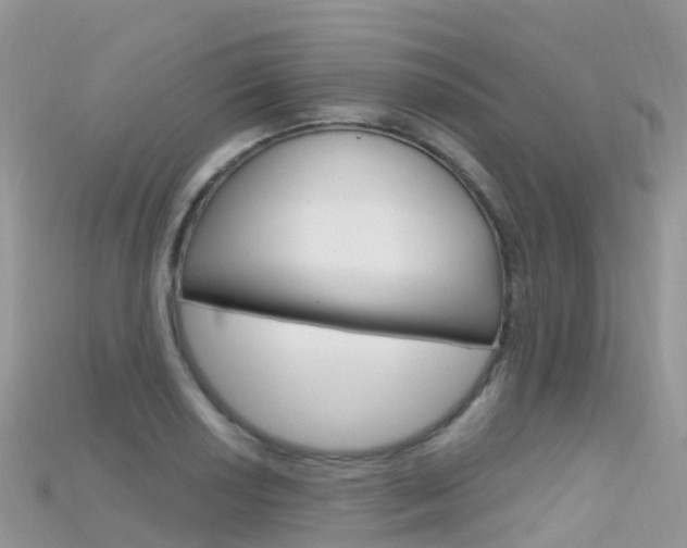 X0000115691034200911121003