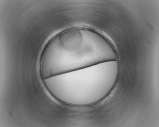 X0000115691037200911121003