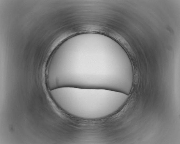 X0000115691039200911121003