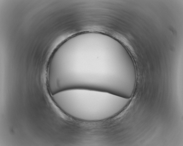 X0000115691040200911121003