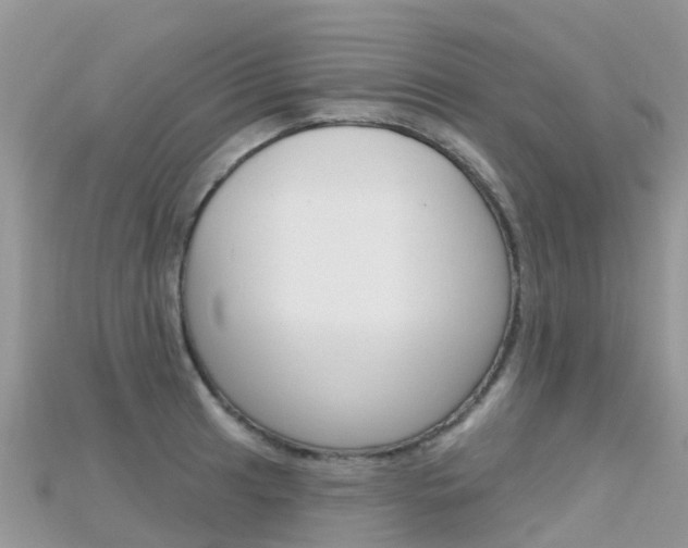 X0000115691041200911121003