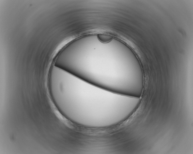 X0000115691042200911121003