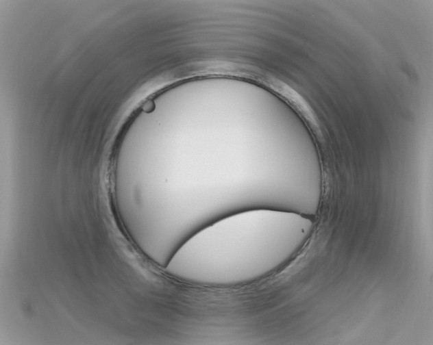 X0000115691043200911121003