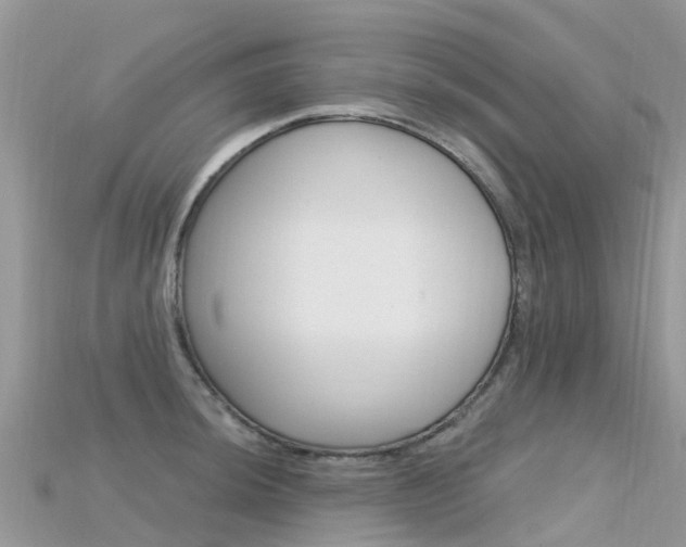 X0000115691044200911121003