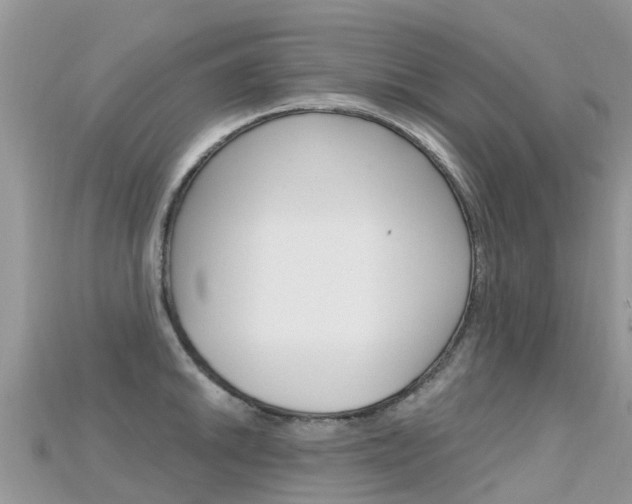 X0000115691046200911121003