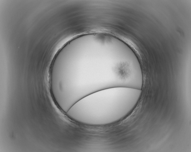 X0000115691047200911121003