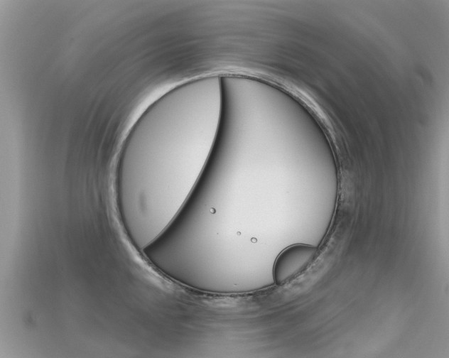 X0000115691048200911121003