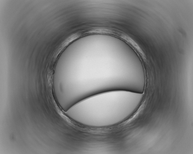 X0000115691049200911121003