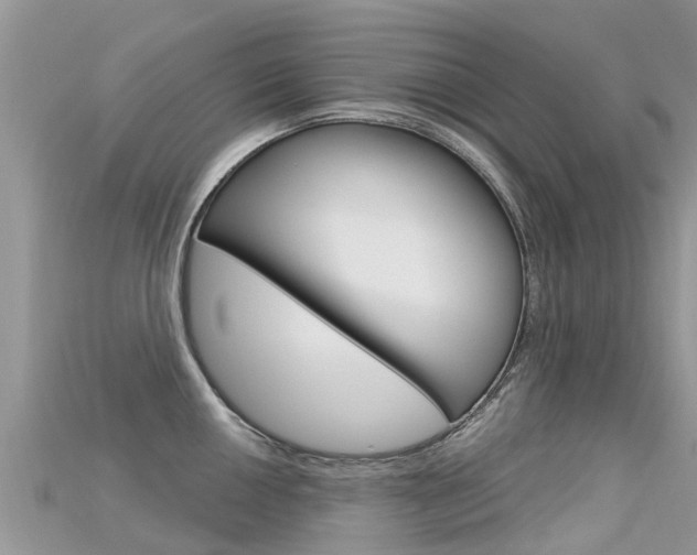 X0000115691050200911121003