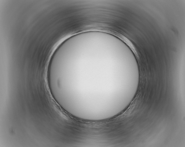 X0000115691051200911121003