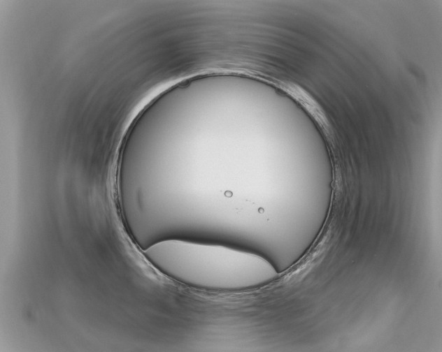 X0000115691052200911121003