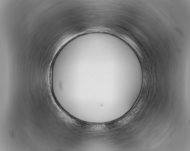 X0000115691055200911121003