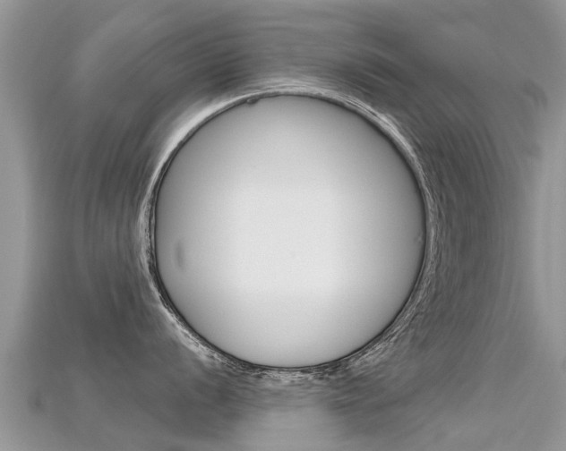 X0000115691056200911121003