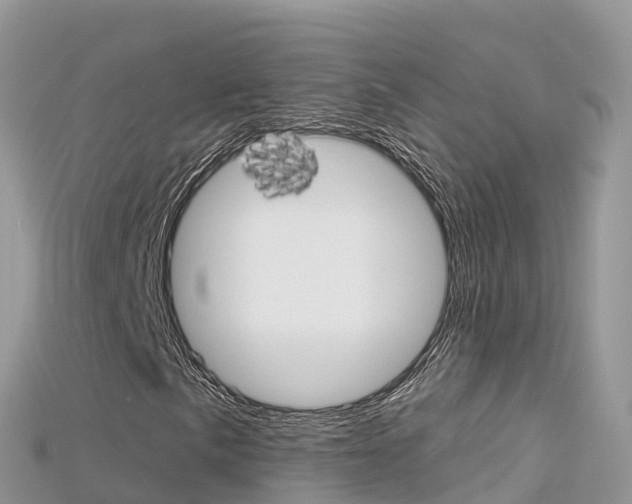 X0000115691057200911121003