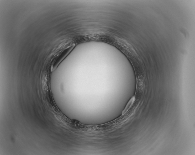 X0000115691060200911121003
