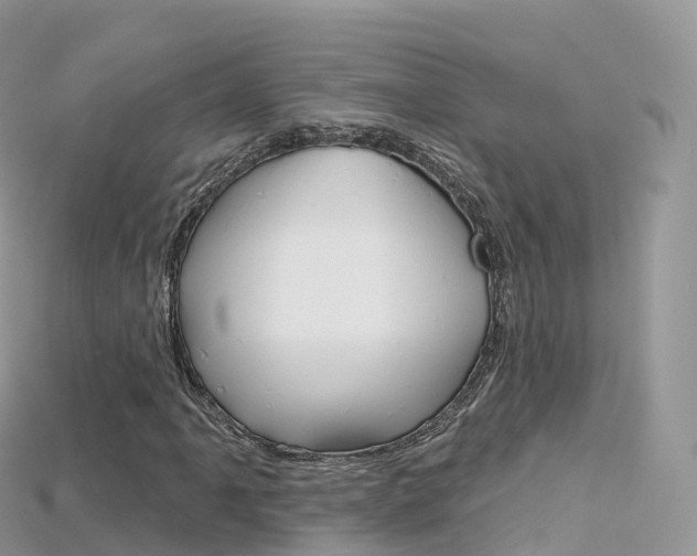 X0000115691061200911121003